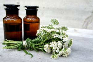 immagine di copertina per: 'Achillea millefolium (Achillea): curiosità, descrizione, proprietà e raccomandazioni'