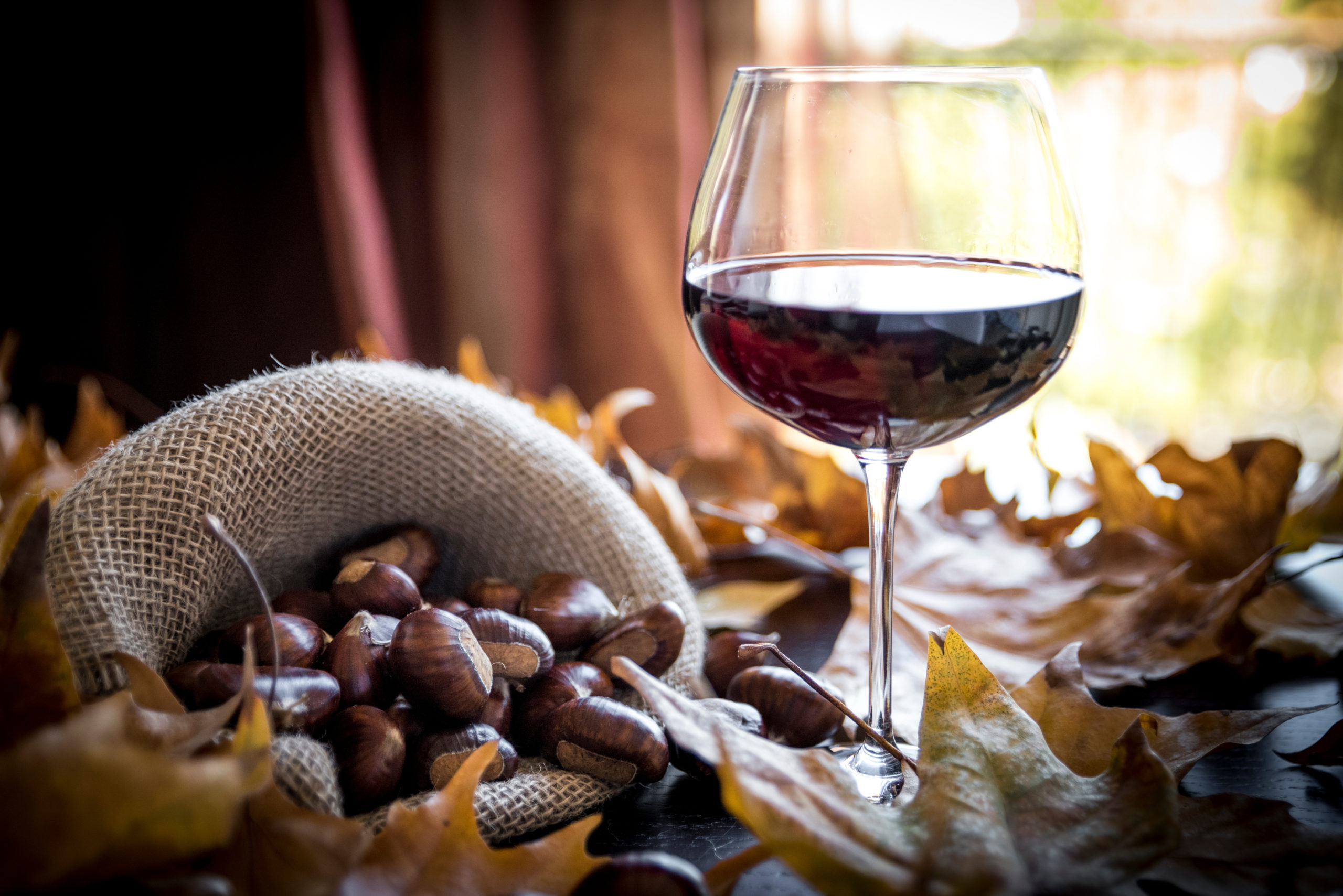 Castagne: come e quando