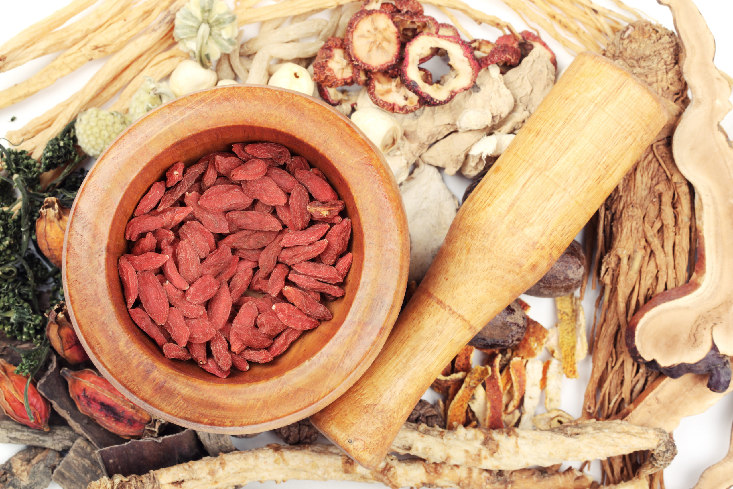 Uncaria: tra intestino e immunità